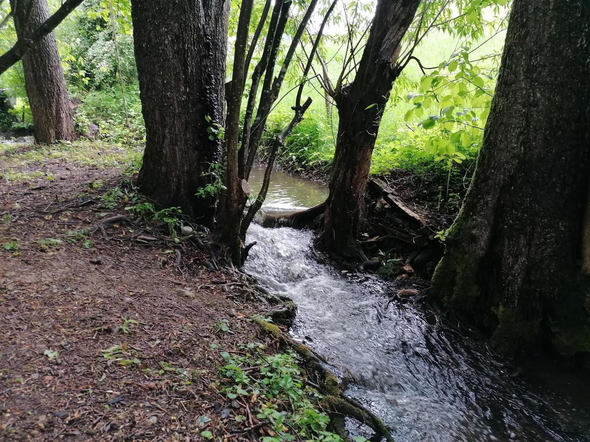 Ferienwohnung "Am Seebach" Wangen im Allgäu Kültér fotó